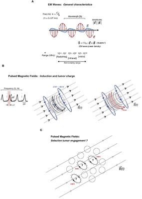 Integrating electromagnetic cancer stress with immunotherapy: a therapeutic paradigm